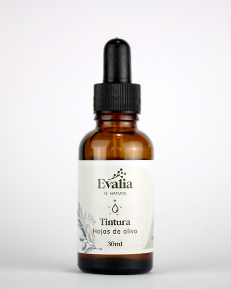 Tintura madreHojas de olivo